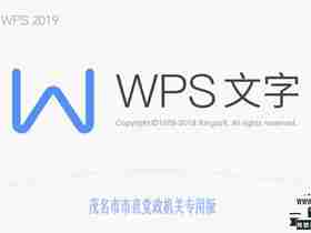 WPS Office 2019 专业版（政府版，已激活）-11.8.2.8053、wps破解版、wps去广告